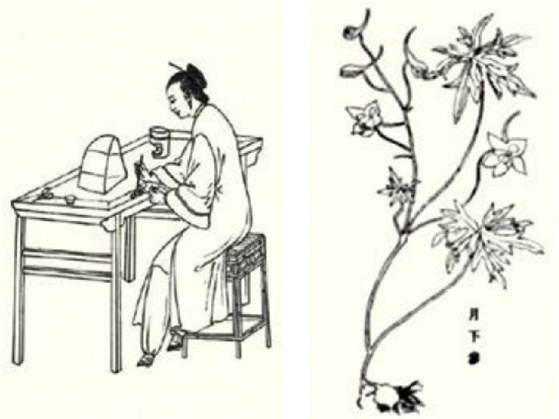 继续了解如某条暂不可用